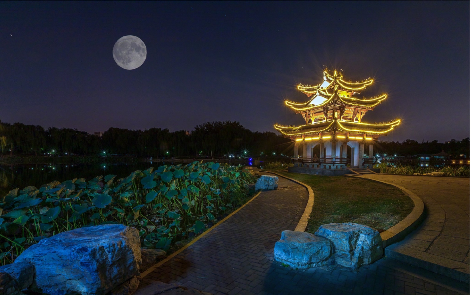 月亮代表我的心-中秋快乐