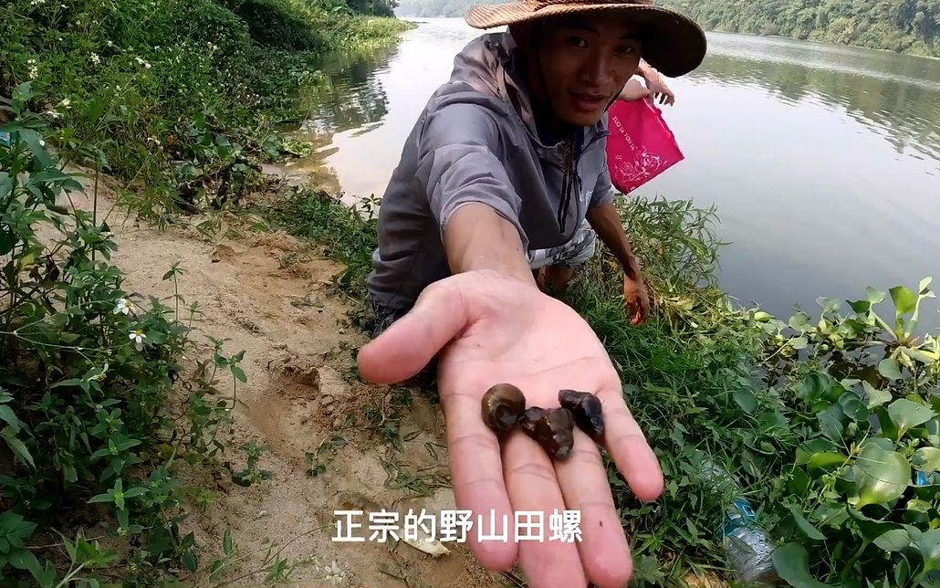 没想到廉江九洲江横山段这么多野货,除了鱼多还意外捞到童年美味