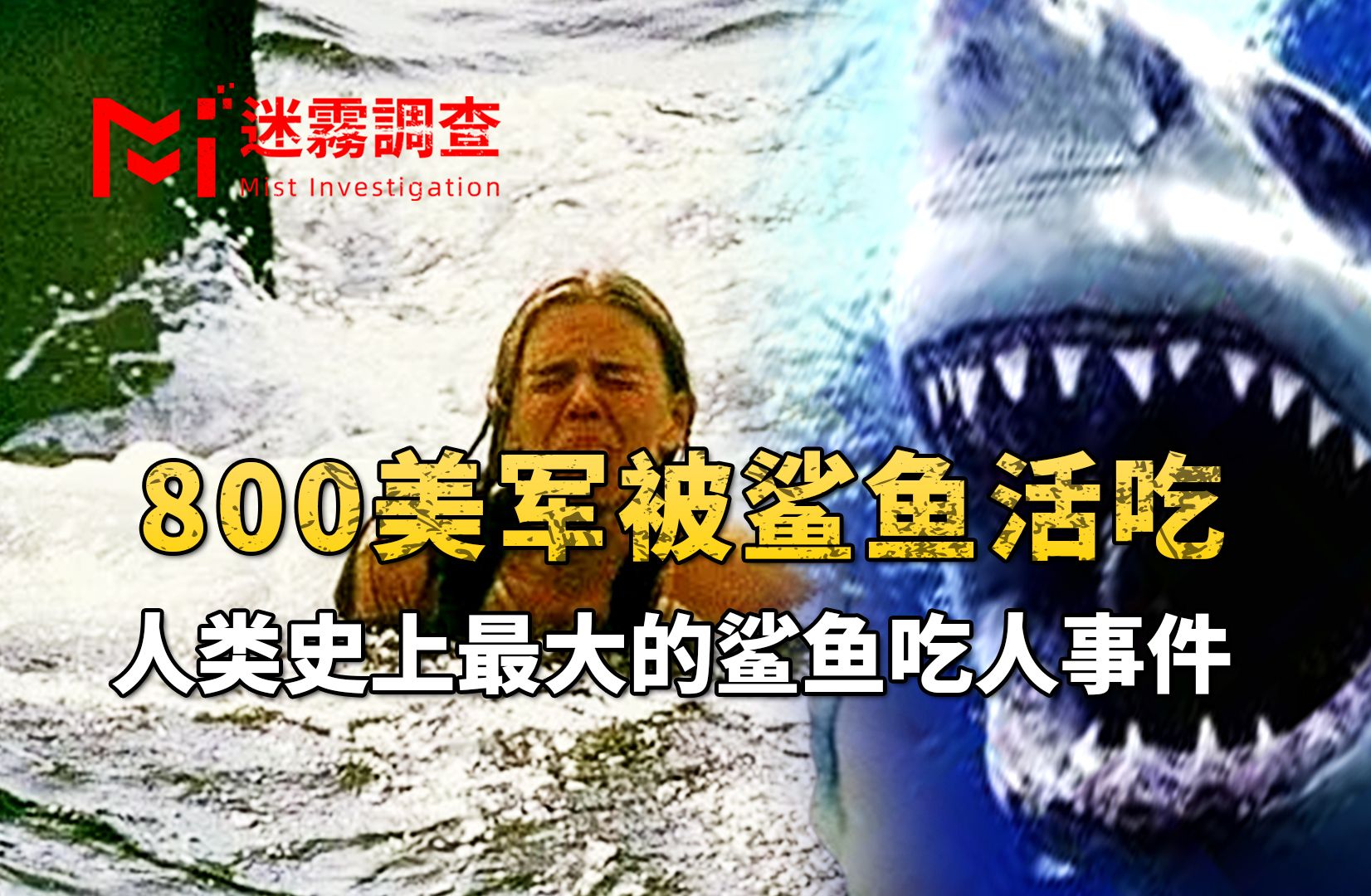 人类史骇人的鲨鱼吃人事件,1000多美军出海,最终只有317人存活哔哩哔哩bilibili