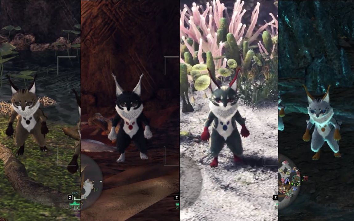 野生艾露猫平时都在干什么?