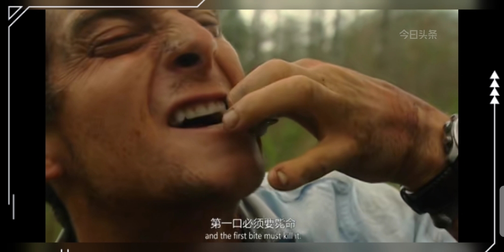 还是贝爷比较厉害呀!想起来蛋白质是牛肉的五倍