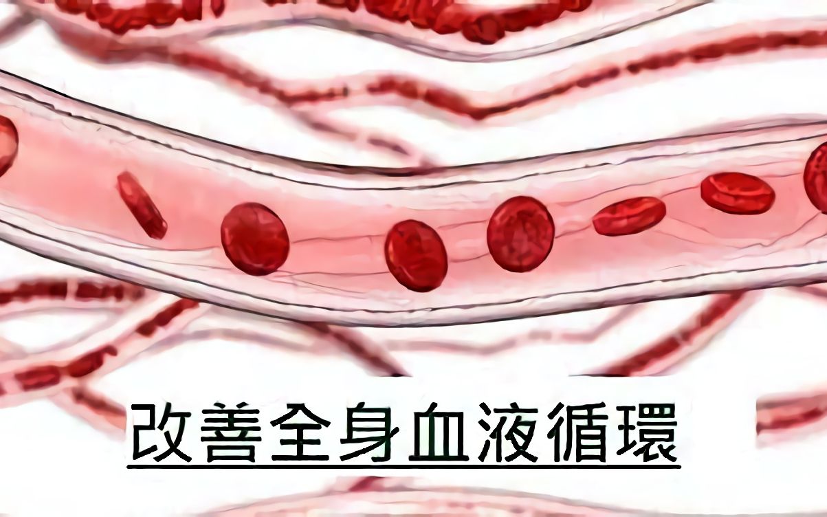 [图]{自用}奇蹟之音樂 - 改善全身血液循環