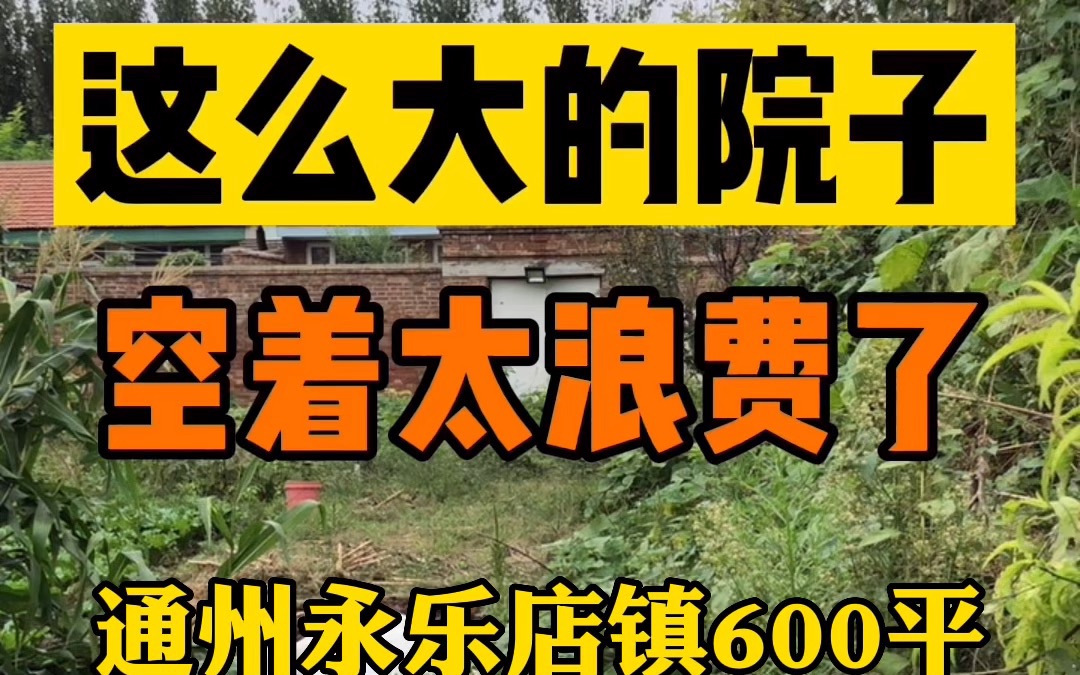 通州永乐店镇农村一亩大院子,有天然气,一年3.8万,菜地多多哔哩哔哩bilibili