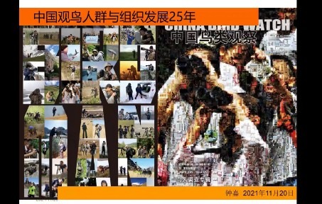 钟嘉:中国观鸟人群与组织发展25年哔哩哔哩bilibili