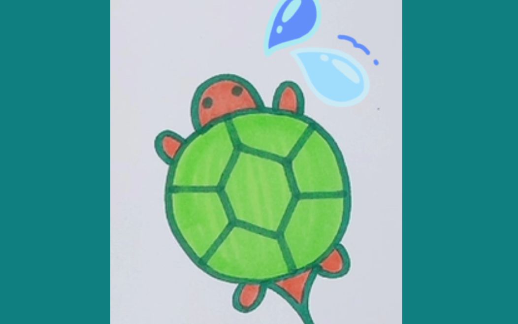 乌龟简笔画教学,教你画可爱小乌龟