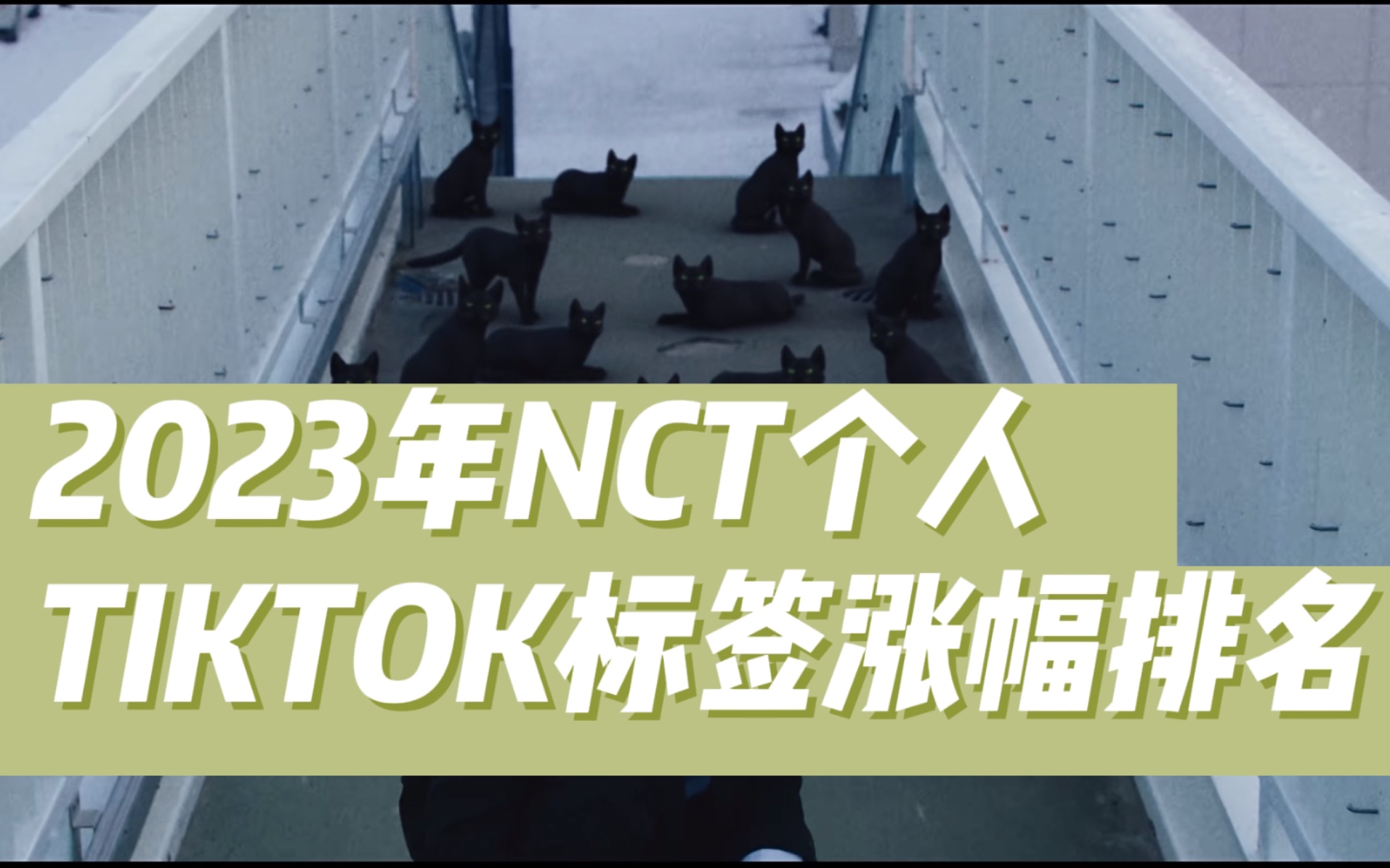 【NCT】2023划人TIKTOK个人标签涨幅排名(20人版)哔哩哔哩bilibili