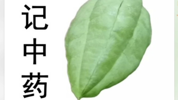 [图]《300中成药》第124剂 参芪降糖胶囊