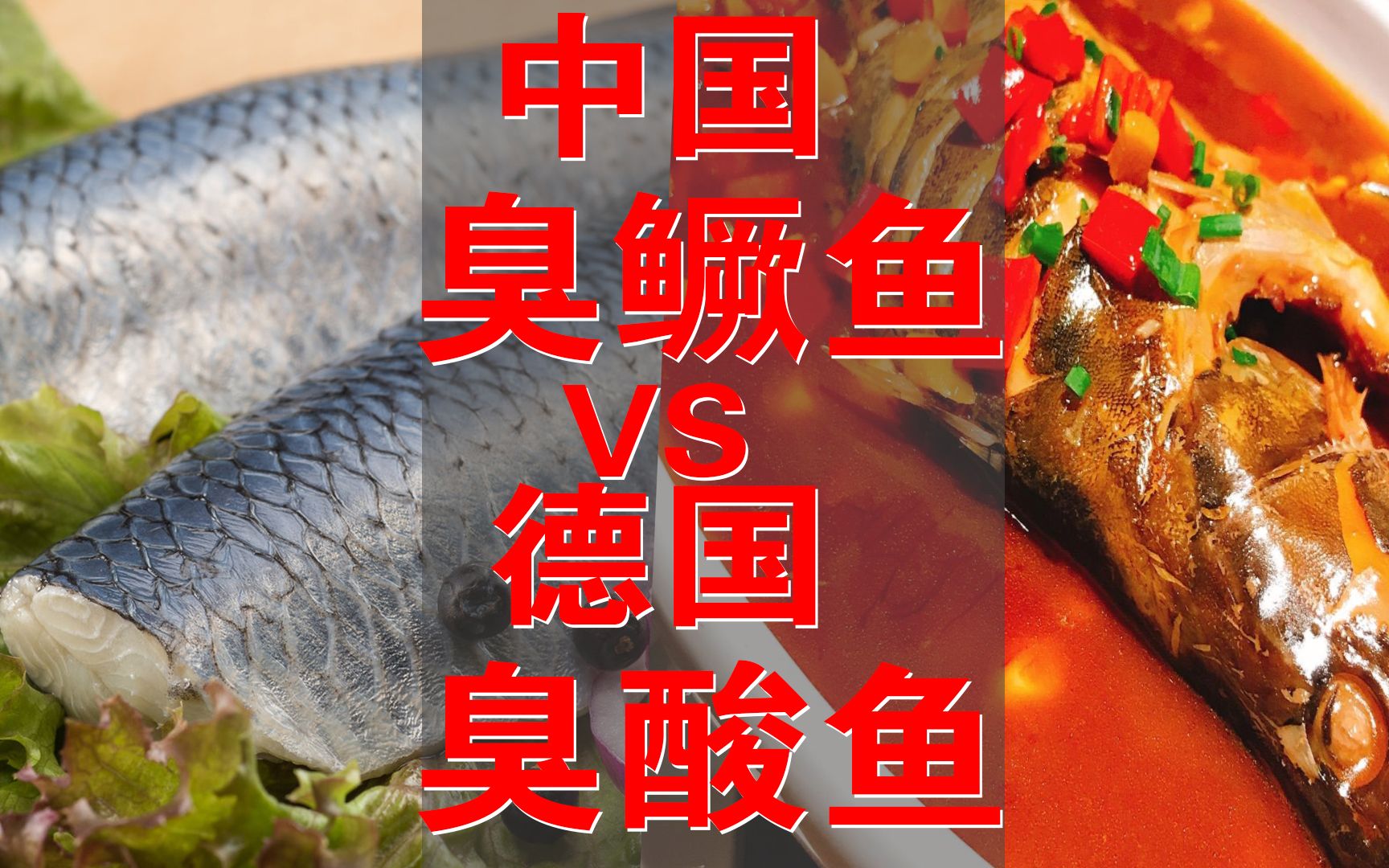 【乐柏说美食】中国臭鳜鱼 VS 德国臭酸鱼 ~ 吃货老外在中国的臭味儿宝典哔哩哔哩bilibili