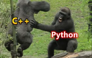 Tải video: 当Python遇到C++