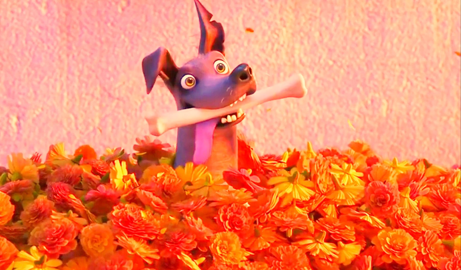 狗狗为了吃骨头,使出了浑身解数《寻梦环游记番外短片》