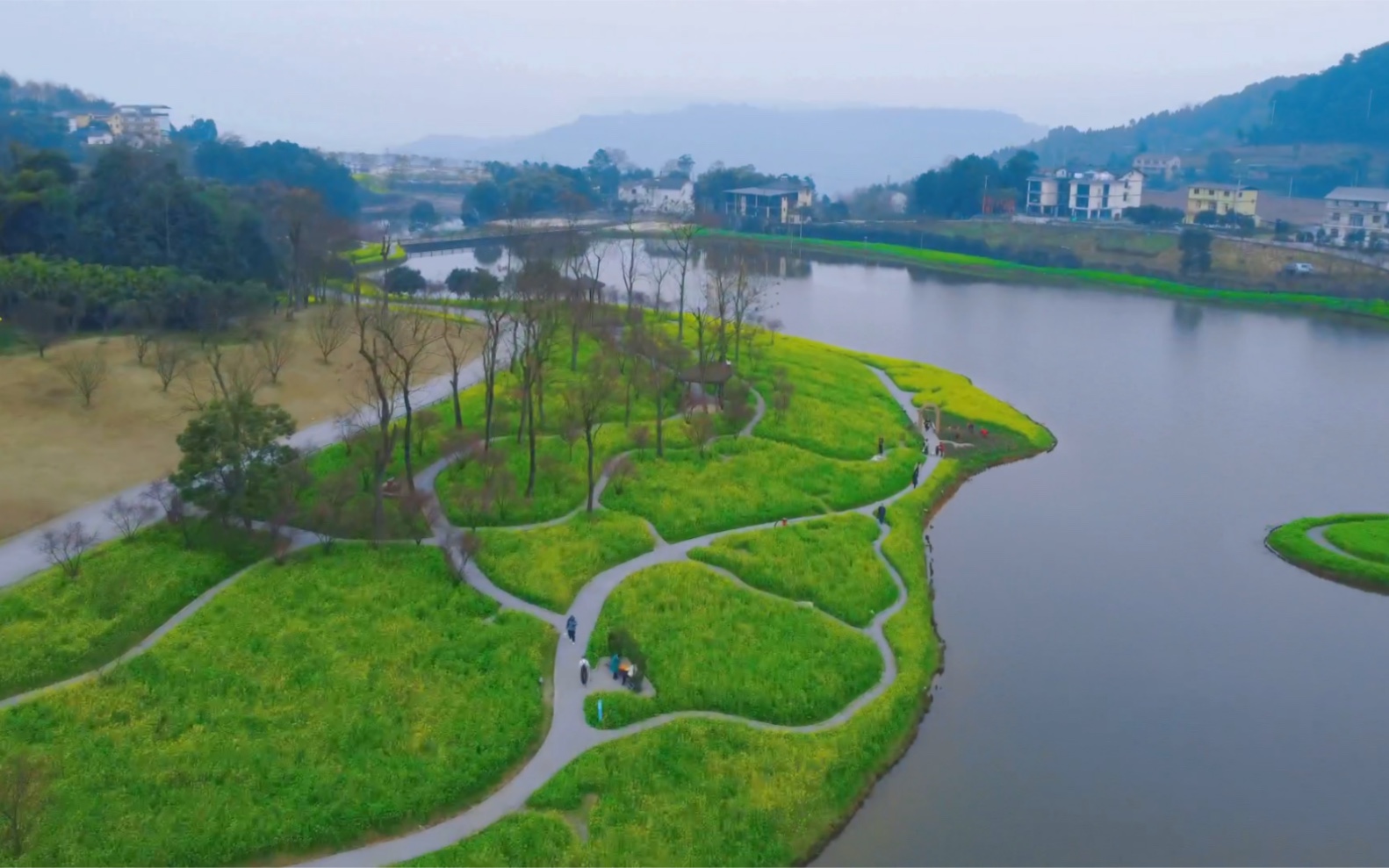 重庆巴南云林天乡油菜花开啦