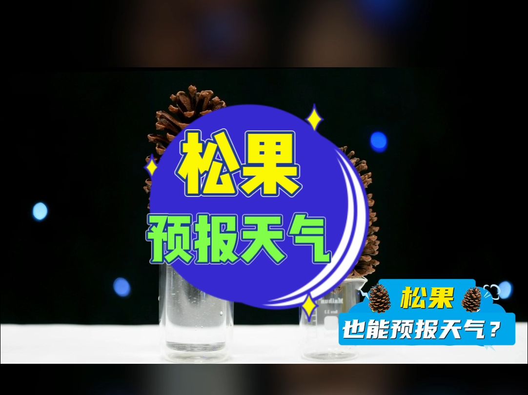 松果也能预报天气?哔哩哔哩bilibili