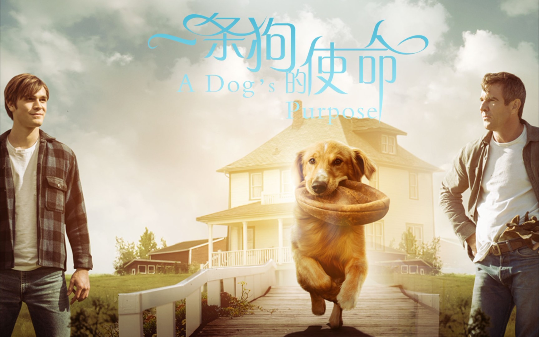一条狗的使命1