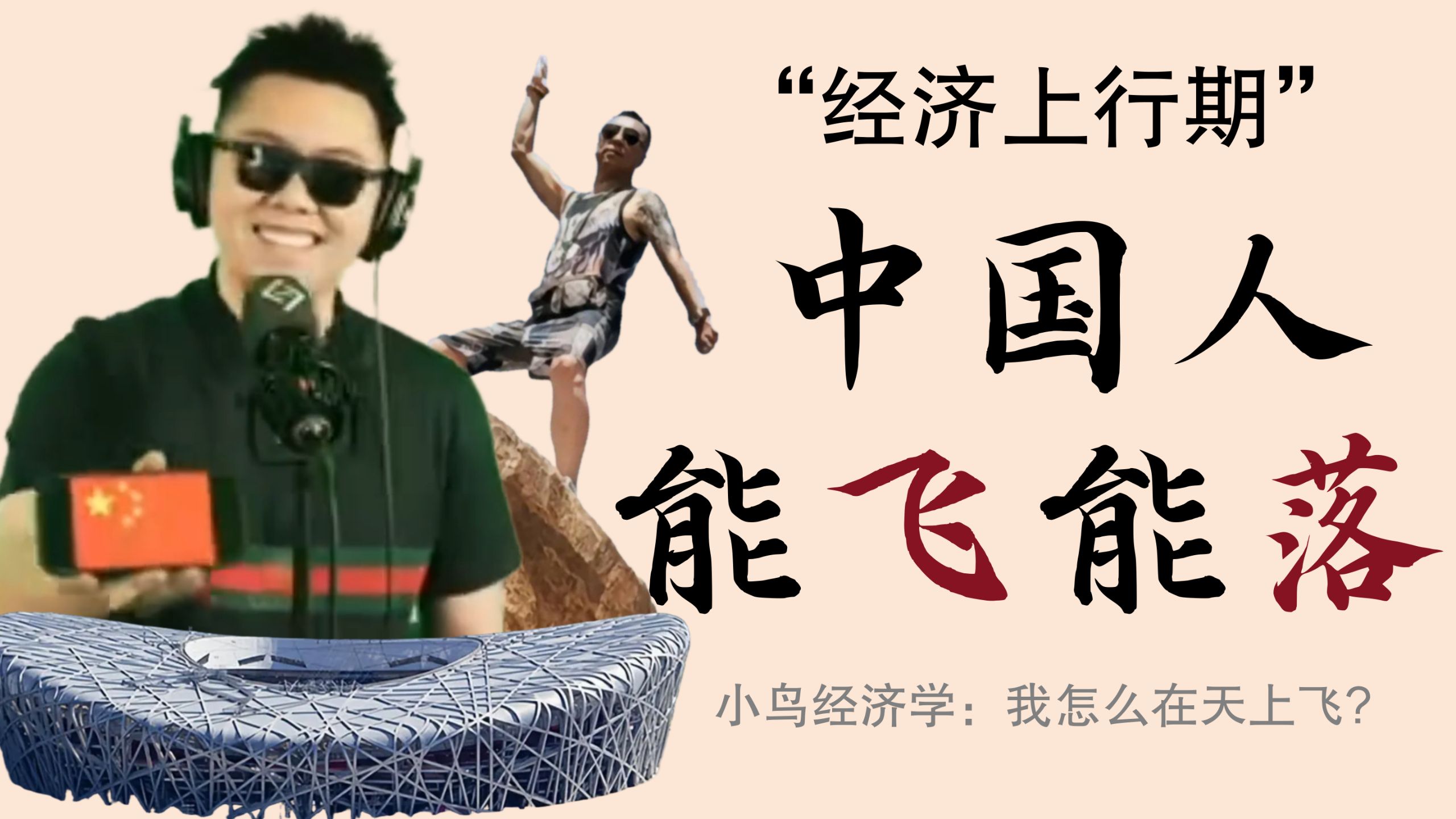 小鸟经济学：到底何为经济上行期？中国人能飞的代价是什么？【万字社会分析】