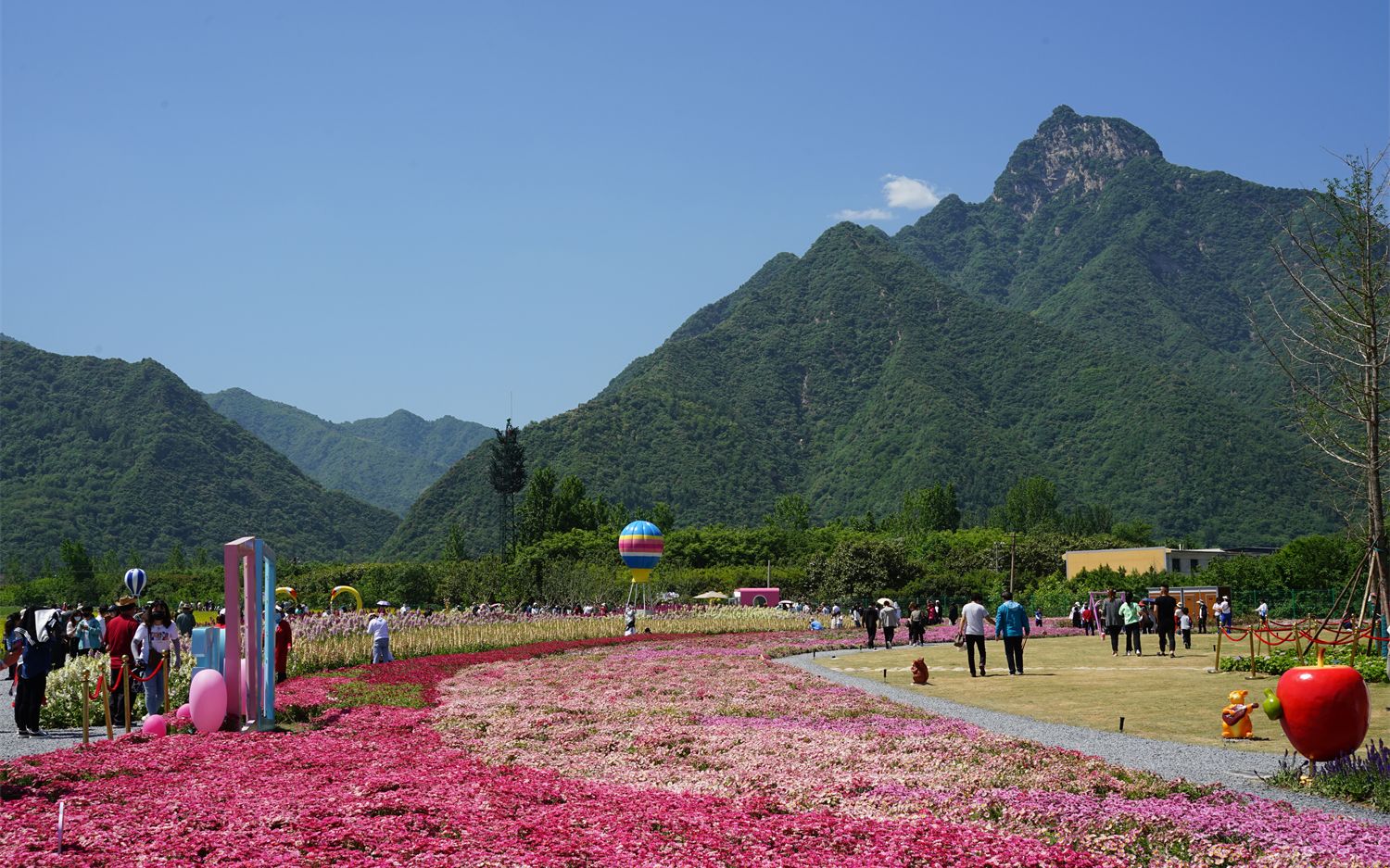 实拍西安五一最火爆的秦岭花海,风景优美0门票,适合遛娃和拍照哔哩哔哩bilibili