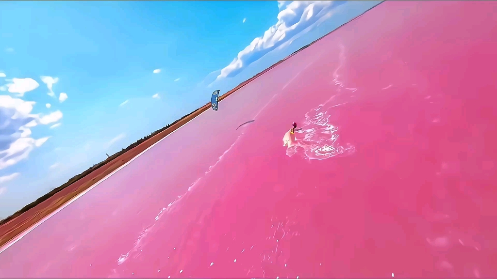 艾特最重要的朋友来看粉色海洋