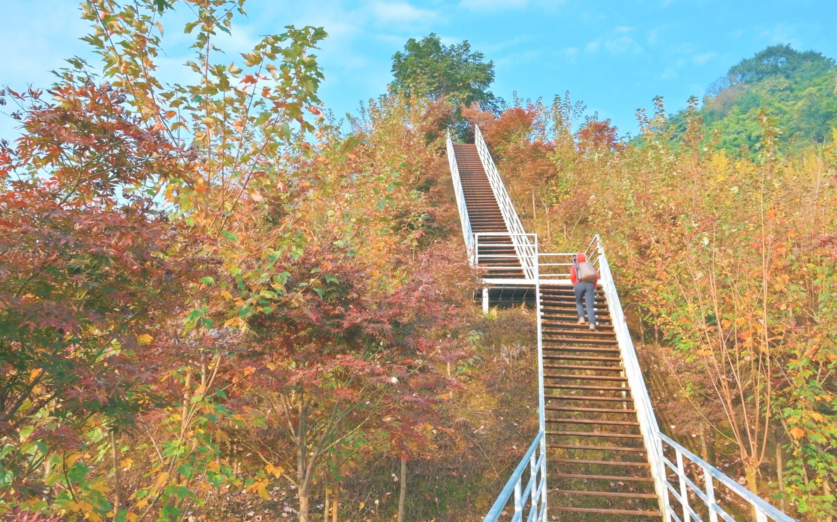 活动作品柒月麓山秋四川绵竹徒步天梯自然音zoomh5