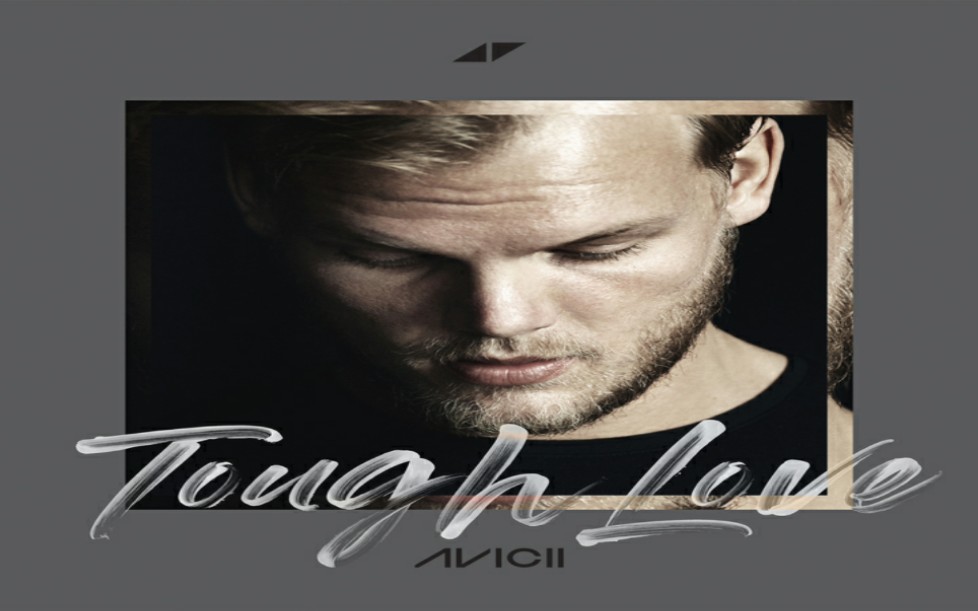 aviciiagnesvargaslagolatoughlove你们不要在打了◢◤