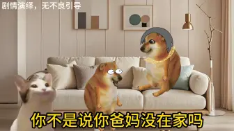 Download Video: 当你去你好兄弟家时