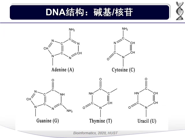 《生物信息学》薛宇华中科技大学推荐课程哔哩哔哩bilibili