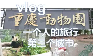 Download Video: 重庆旅游vlog3.不是吧，重庆动物园体验感这么好？一个人吃火锅狂炫三大盘牛肉(❤ ω ❤)