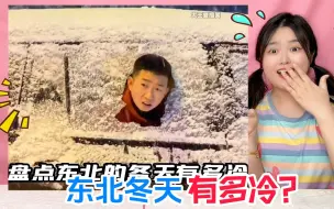 Descargar video: 东北冬天有多冷！地面炒酸奶VS脆脆冰葱，谁一头撞碎了车窗玻璃？