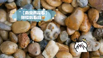 Download Video: 【南京雨花石】继续扒石堆😀