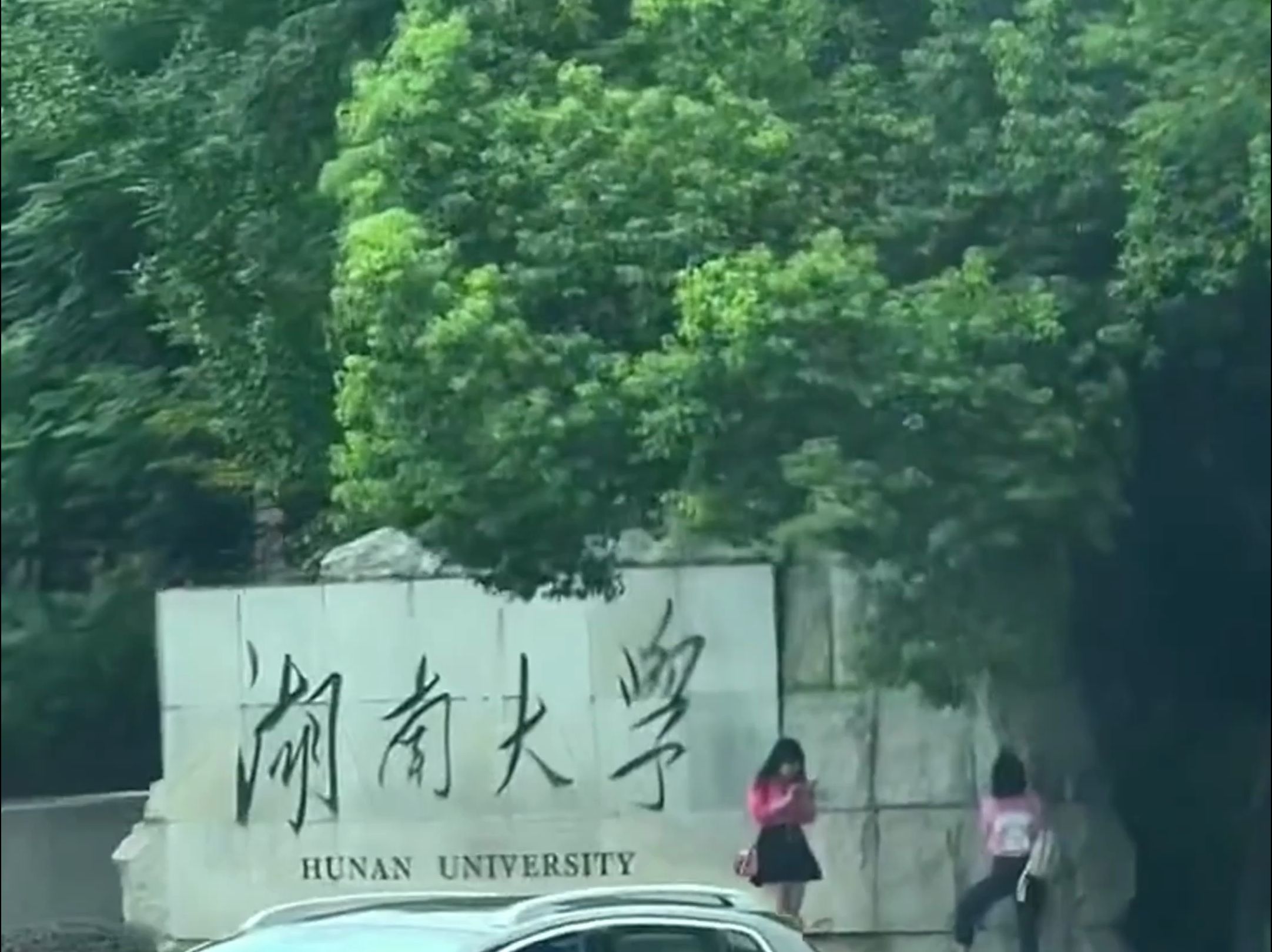 湖南大学YYDS哔哩哔哩bilibili