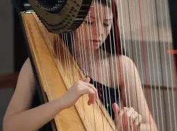 Download Video: J.S. Bach - Toccata and Fugue in D Minor BWV 565 __ Amy Turk, Harp