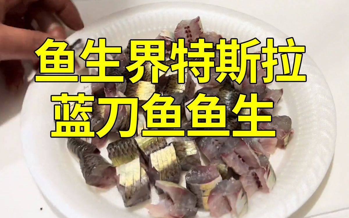 30块就可以吃一餐号称鱼生届特斯拉的蓝刀鱼生,好吃到停不下来