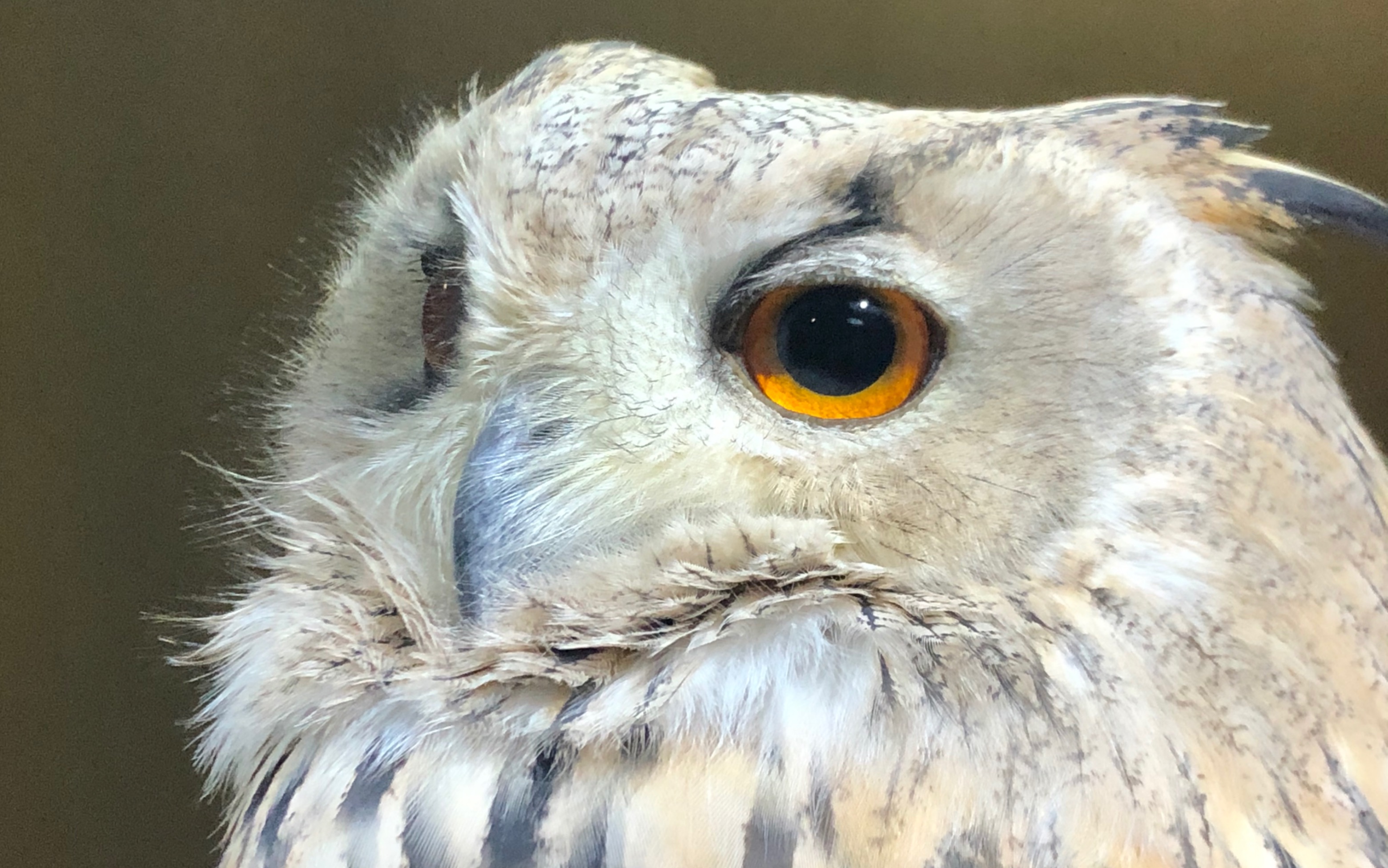 傲娇的赫默_哔哩哔哩 (゜-゜)つロ 干杯~-bilibili