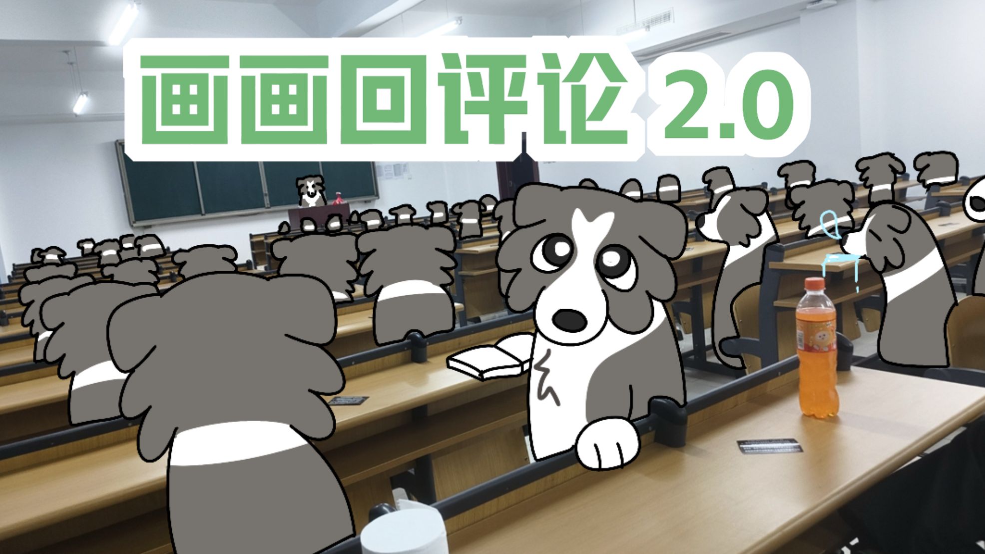 为生活添加毛豆2.0