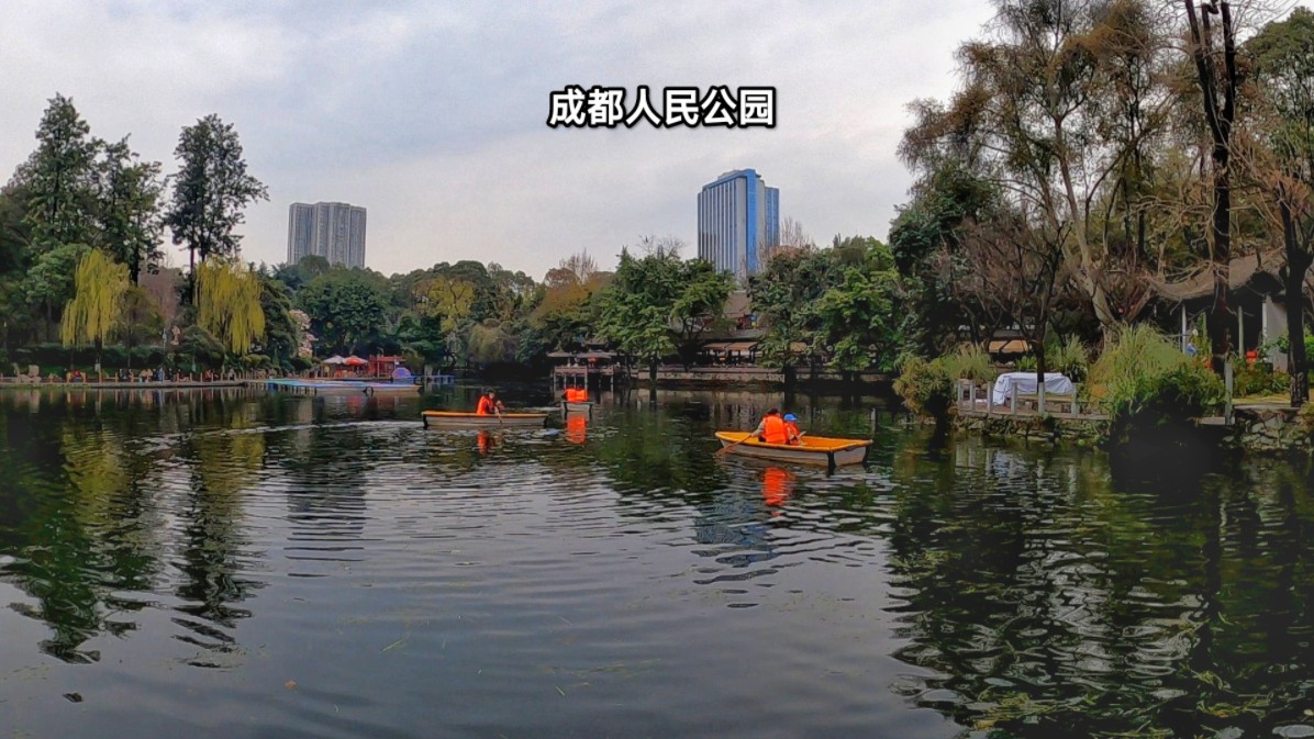 四川近代第一座公园,成都人民公园,茶馆高质量相亲角人员爆满