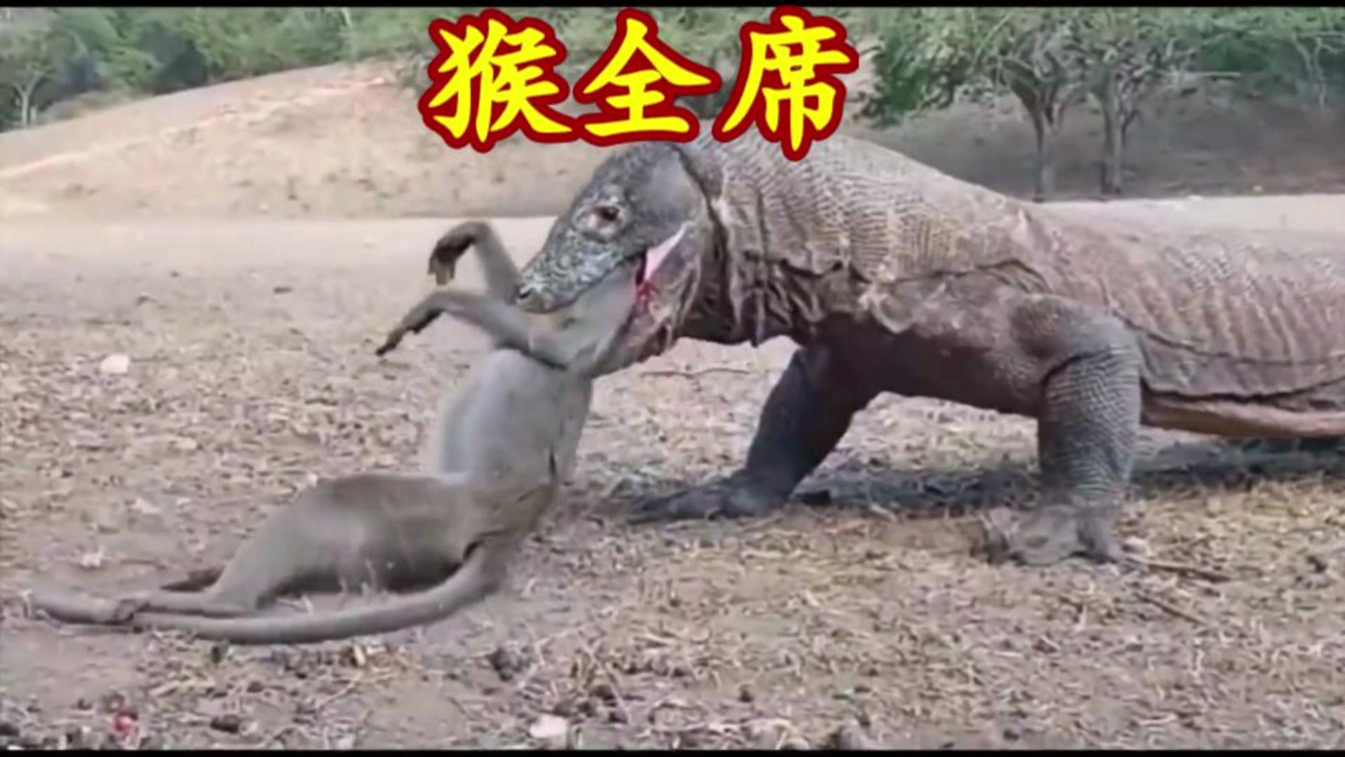 [图]猴全席