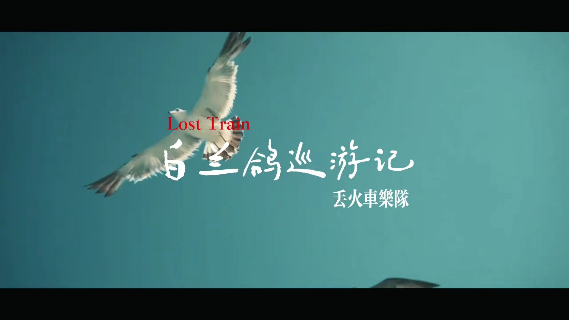 白兰鸽巡游记