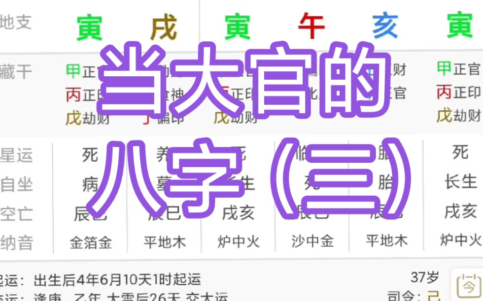 当大官的八字(三)哔哩哔哩bilibili