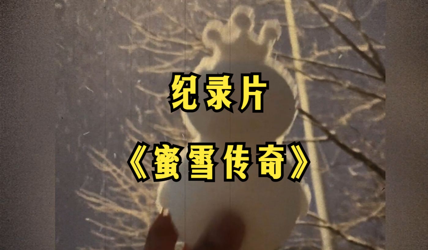 大型纪录片《蜜雪冰城》哔哩哔哩bilibili