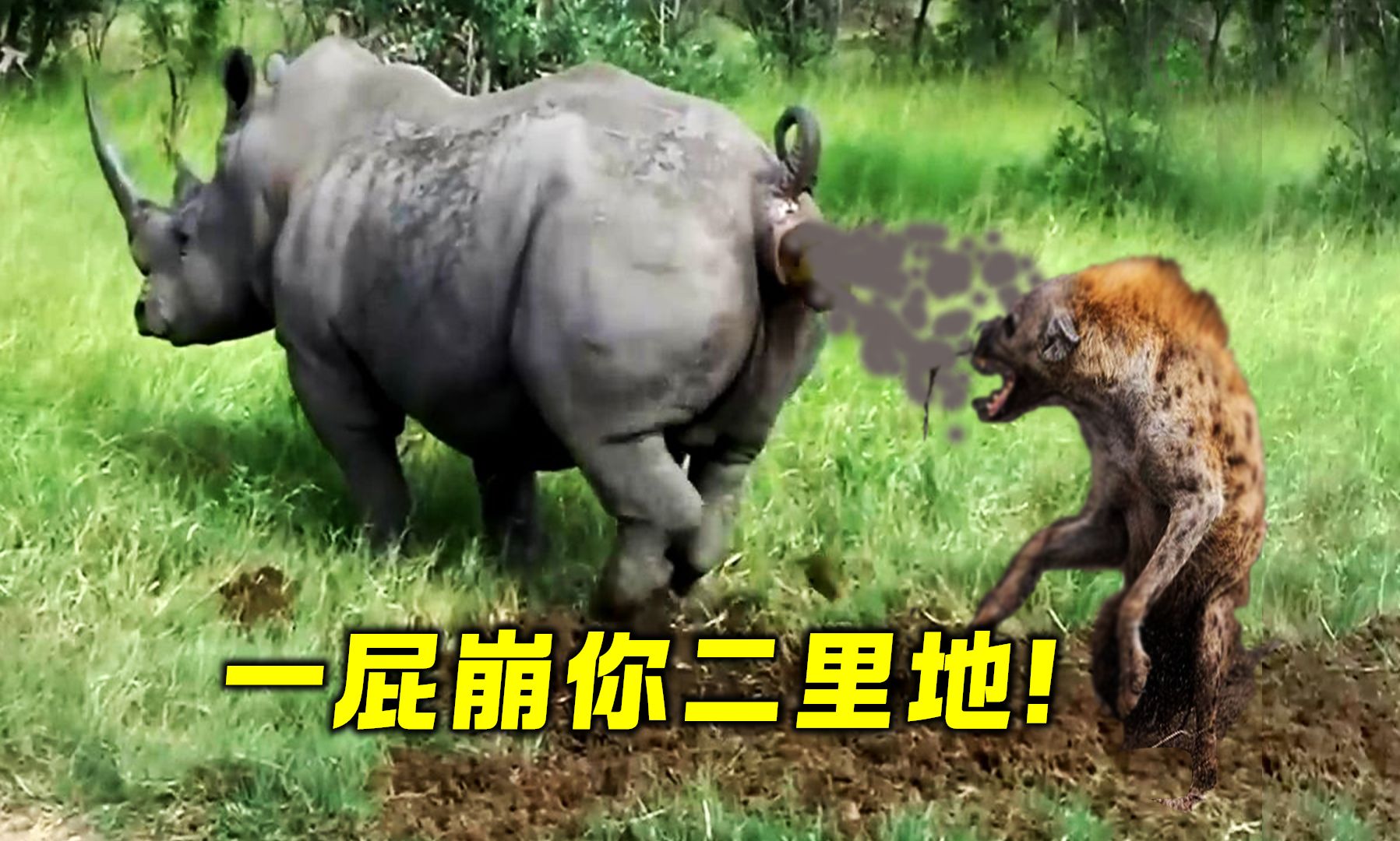 掏缸专家这回遇到对手！一个屁武功全废