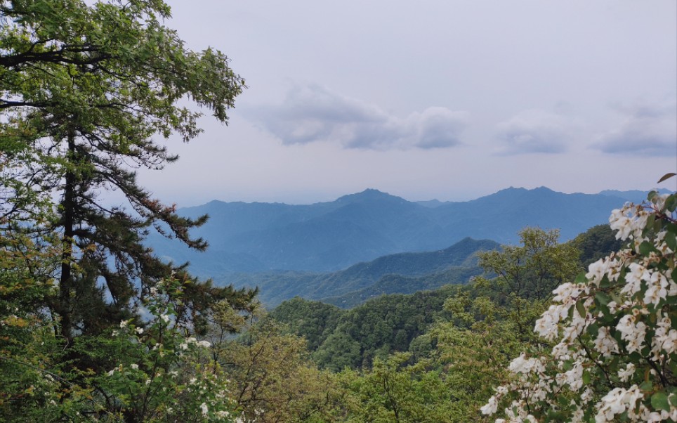 祥峪国家森林公园图片