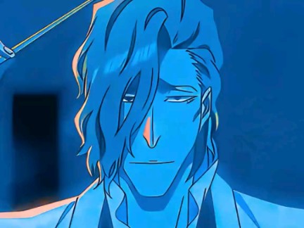 【死神bleach】凤桥楼十郎的卍解哔哩哔哩bilibili