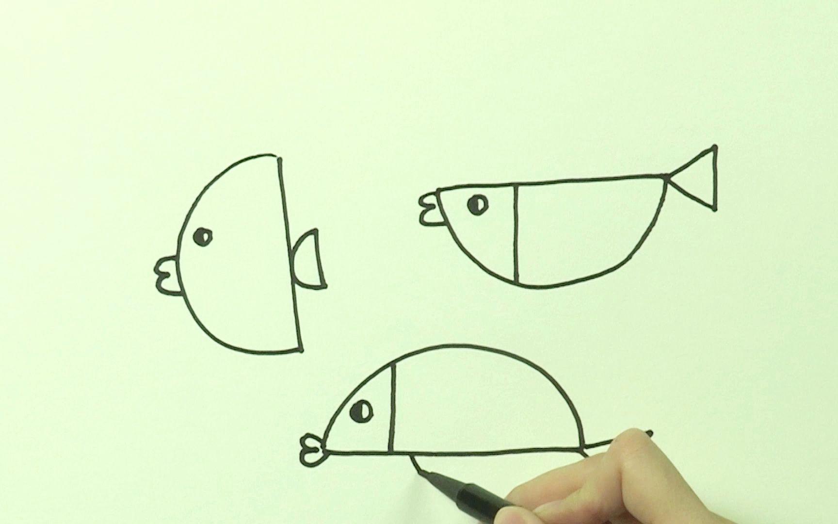 简笔画画半圆形的鱼