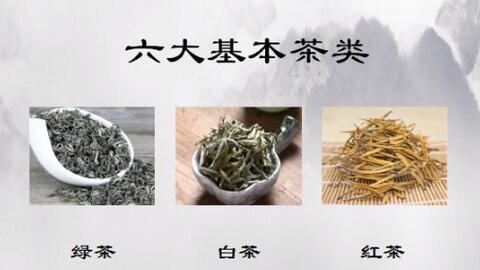 活动策划执行：让每一次精彩都有迹可循