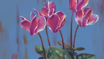 水彩 生日花 七月二十七日 千屈菜 哔哩哔哩 Bilibili