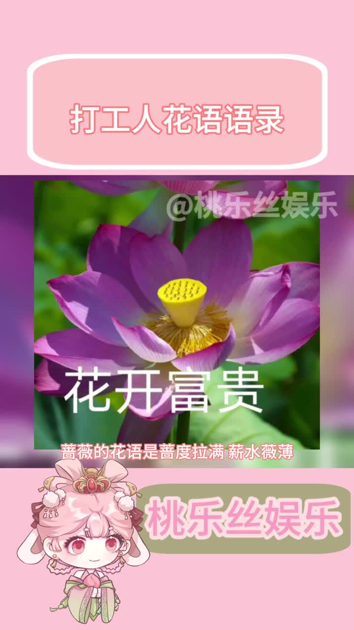 新型花语语录#花语 #花朵寓意 #花开富贵好运来 #网友神评论 #精神状态belike哔哩哔哩bilibili