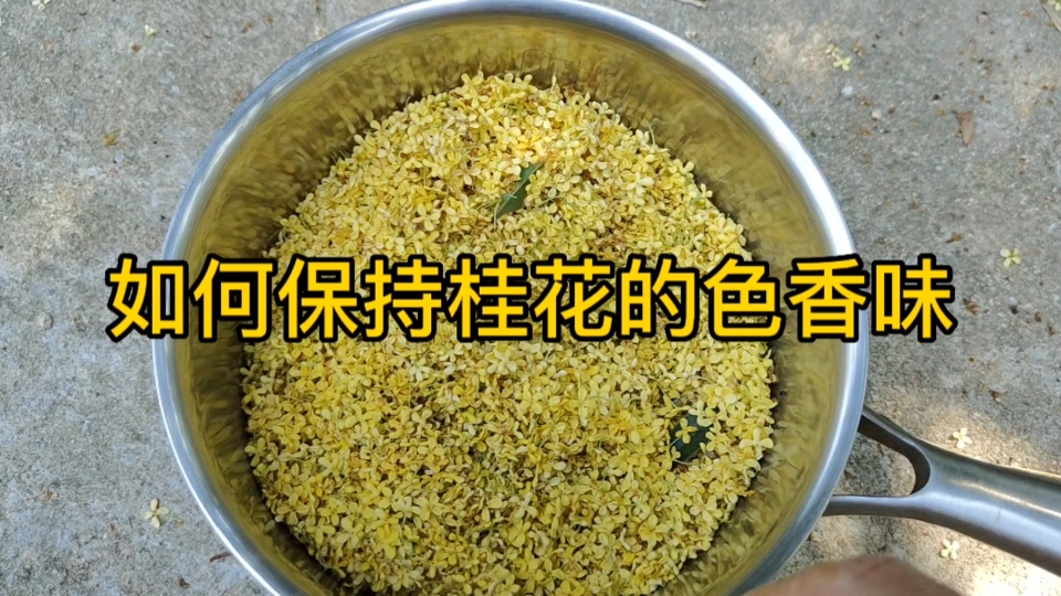 [图]生活百科知识 食品保鲜 如何保持桂花的色香味