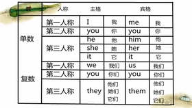 人称代词分不清 快来听这首歌 哔哩哔哩 つロ干杯 Bilibili