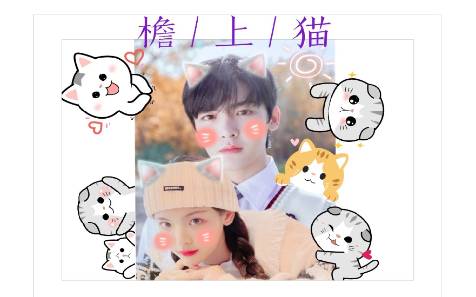 【明越夜】那些可爱瞬间～檐上猫|侯明昊x杨超越