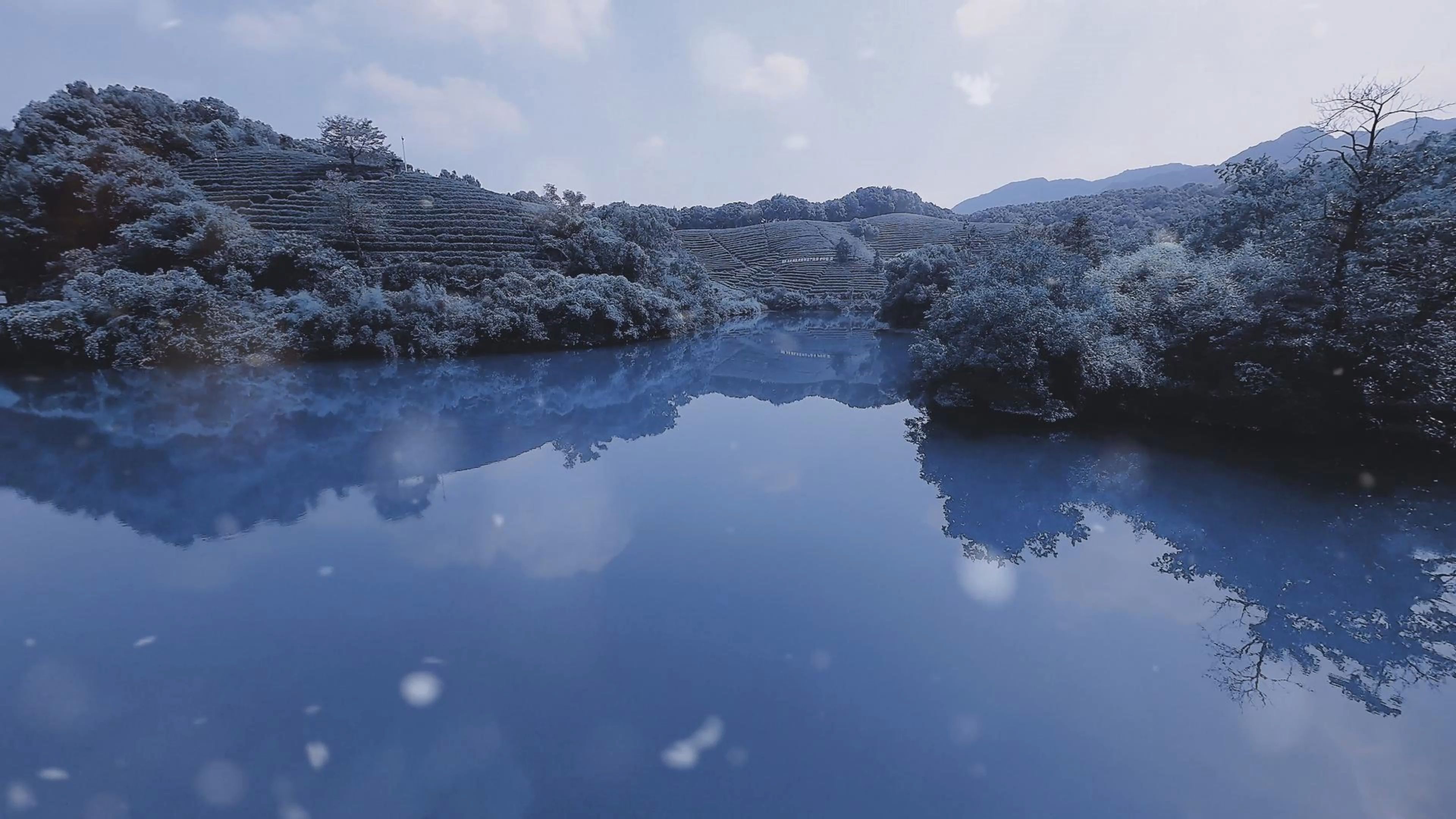 杭州竟然下雪了