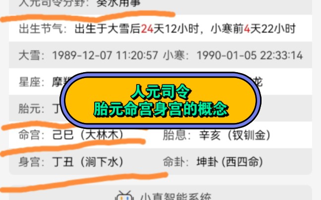 人元司令胎元命宫身宫的概念哔哩哔哩bilibili