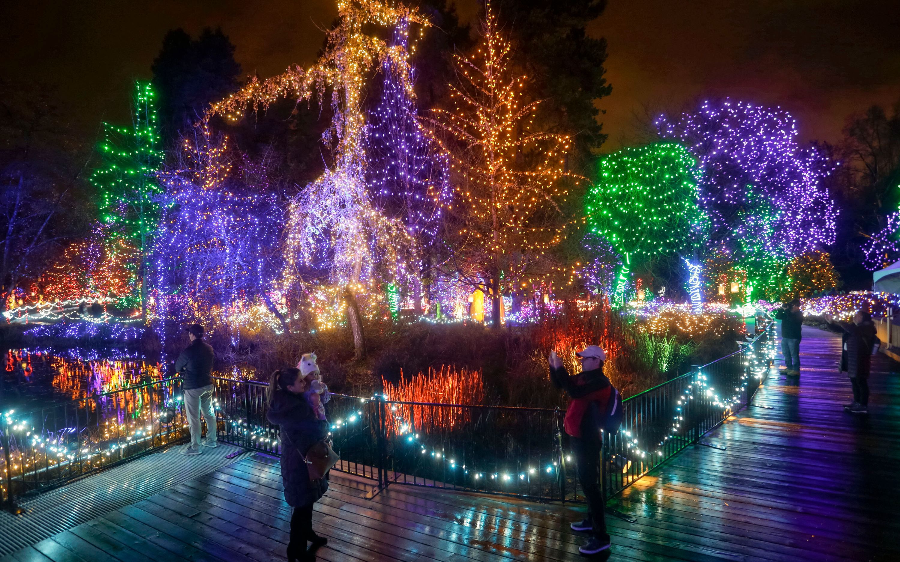 【自学go出品】9款lumion10精品模型系列 植物夜景灯光配景模型